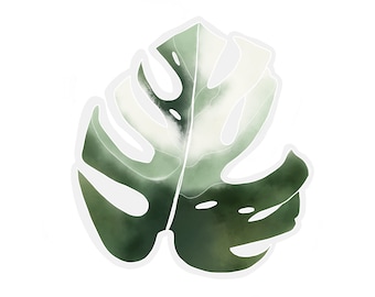 Transparent Monstera Sticker | clear plant sticker | waterproof water bottle sticker | laptop sticker | plant art