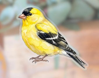 Goldfinch Transparent Sticker | waterproof water bottle sticker | laptop sticker | animal art