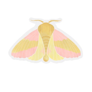 Rosy Maple Moth Transparent Sticker | clear moth sticker | waterproof water bottle sticker | laptop sticker | animal art