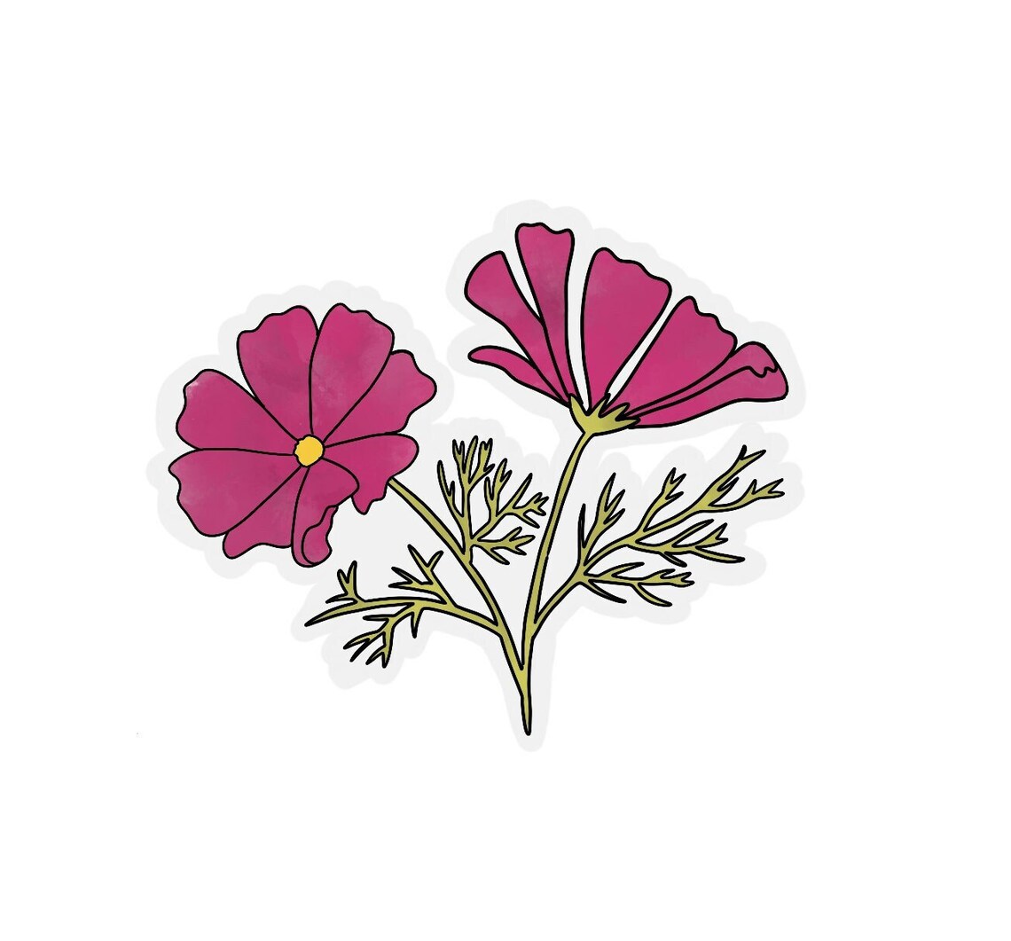 Cosmos Transparent Sticker | Clear Flower Sticker | Waterproof Water ...