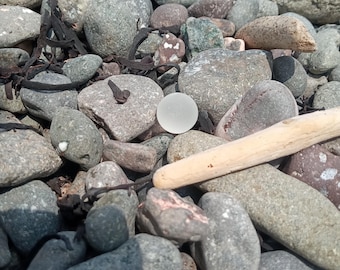 Mini clear transparent Perfectly weathered by the sea beautiful sea glass clear marble  found on the bay of fundy