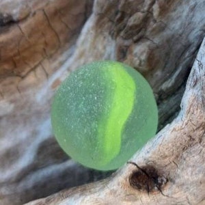 Lebhafter gelber Nova Scotia Seaglass Marmor, der perfekt vom Meer verwittert ist Getrommeltes gefrostetes Seaglass Gefunden an den Stränden der Bay of Fundy