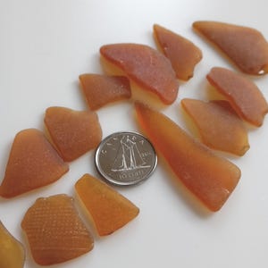 12 pieces of orange /light brown Nova Scotia Seaglass found on the beaches of the Bay of Fundy perfectly weathered by the ocean