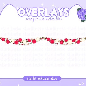 Superposición de transmisión de luces de cadena de rosas de San Valentín (archivos .webm P2U)