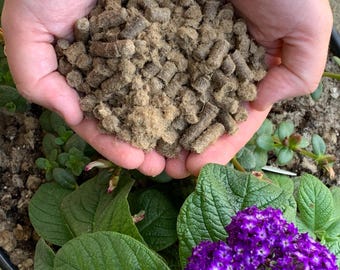 Wool Pellets for Gardening and Houseplants!  12 Oz. Bag.  Soil Amendment, Adds Nutrients, Retains Moisture, Aerates Soil.