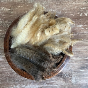 May include: A round wooden bowl filled with raw, unspun animal fiber. The top section contains light cream-colored, curly locks of wool, while the bottom section features dark brown, textured, and wavy raw fiber strands.