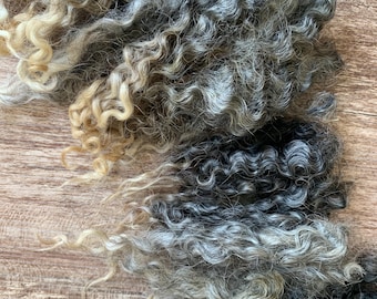 Raw Gotland Wool Locks for Spinning and Felting.  4 oz Natural Gray.  Longwool Fiber, Soft Unwashed Fleece, Crimpy!