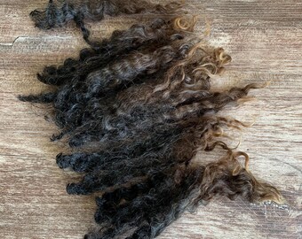 Raw Cotswold Teeswater X Wool Locks for Spinning and Felting.  4 oz Natural Black.  Longwool Fiber, Soft Unwashed Fleece, Crimpy!