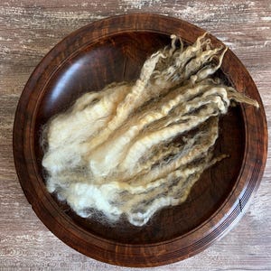 May include: A dark wooden bowl filled with raw, undyed wool fibers. The wool is a mix of creamy white and light brown, with a soft, textured appearance. The bowl has a smooth, polished finish.