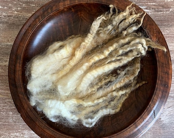Raw Coopworth Lamb Wool Locks for Spinning and Felting.  4 oz Natural White.  Longwool Fiber, Long Staple, Unwashed Fleece, Dyeable.