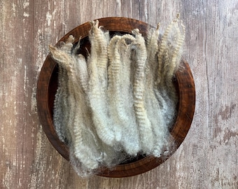 Raw Romney Wool Locks for Spinning and Felting.  4 oz Natural Gray.  Longwool Fiber, Long Staple, Unwashed Fleece, Dyeable.