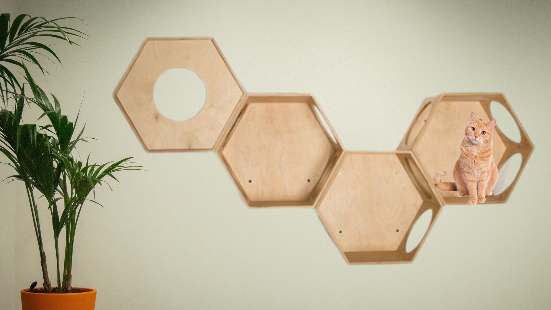 Hexagon Cat Shelves Cat House Cat Tree Cat Bed Wooden Cat Bed Etsy