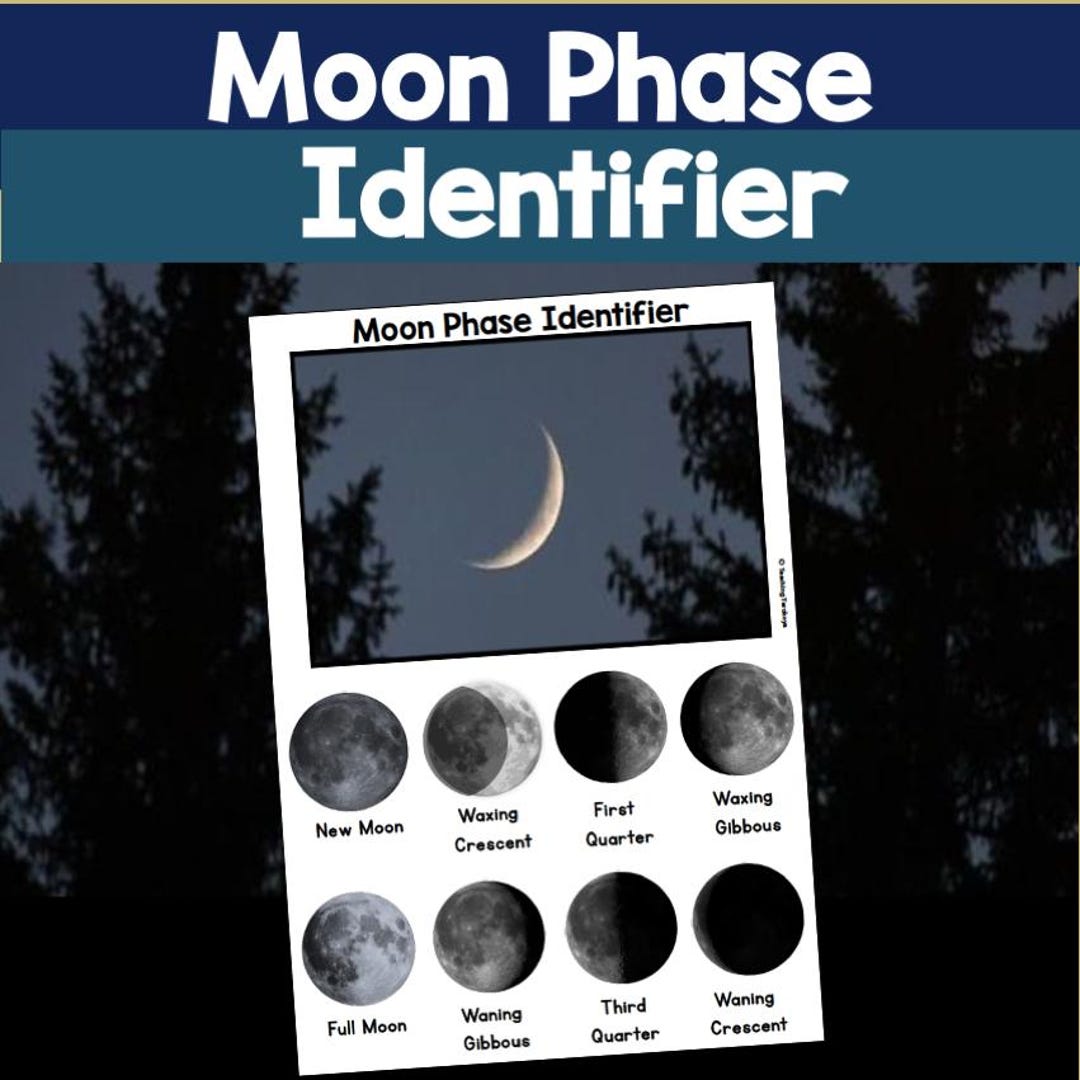 Nature Education: Moon Phase Identifier Visual Aid Viewer - Etsy