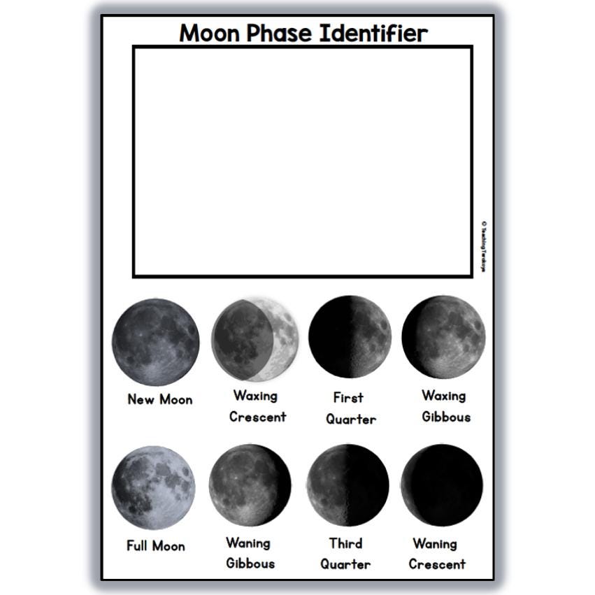 Nature Education: Moon Phase Identifier Visual Aid Viewer - Etsy