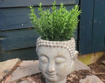 Cabilock Ceramic Flowerpot Succulent Container Buddha Head Portrait Sculpture Art Plant Flower Pot Face Vase Outdoor Potted Planting Container for Home Garden Cabilock Ceramic Flowerpot Succulent Container Buddha Head Portrait Sculpture Art Plant Flower Pot Face Vase Outdoor Potted Planting Container for Home Garden