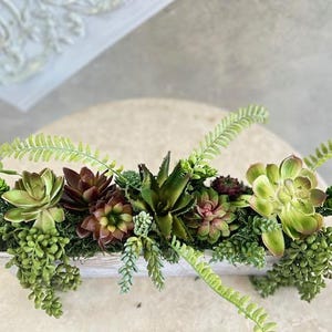 Sukkulenten im Holzpflanzer - Verschiedene Pflanzen & Moos - Perfektes Geschenk für Braut Babyparty, Party Hochzeitsgeschenke, Geburtstag, Freundin