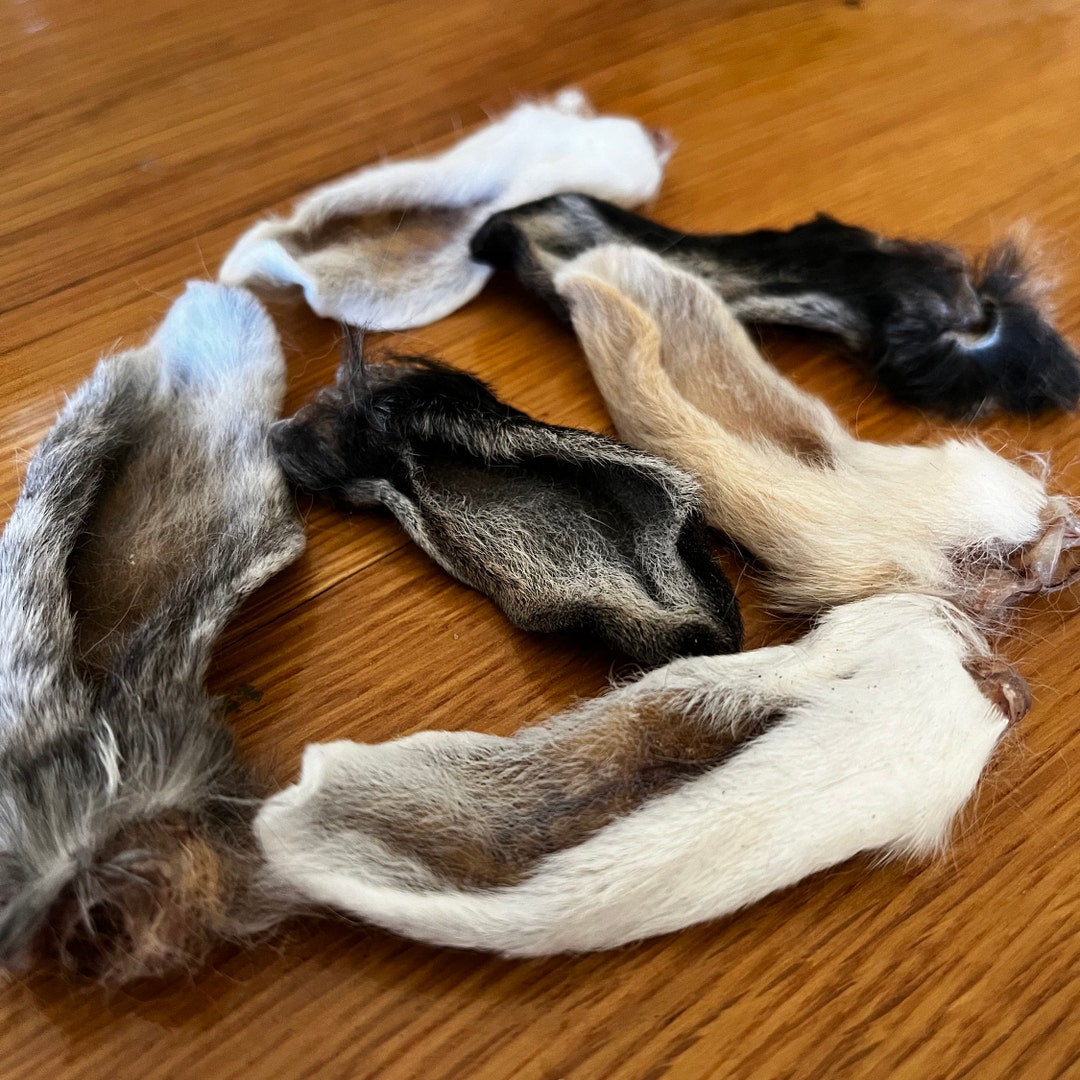 Rabbit Ear Dog Treats Natural Treats Dehydrated Ears One Ingredient