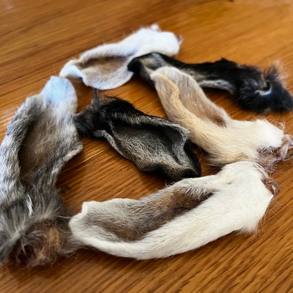 Dehydrated rabbit ears dog treats cheap