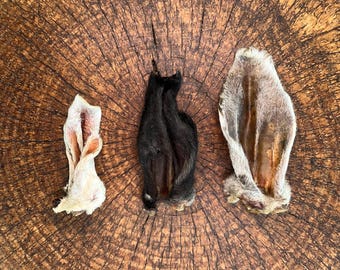 Lamb Ear Dog Treats: Natural, One Ingredient Treats