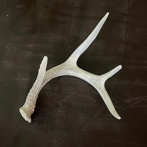 Deer Antler Dog Chew | 100% Natural Dog Chew | Deer Horn Chew | Natural Dog Toy | Antler For Dogs | Ethically Sourced |