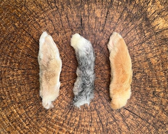 Patas traseras de conejo liofilizadas: masticables naturales para perros