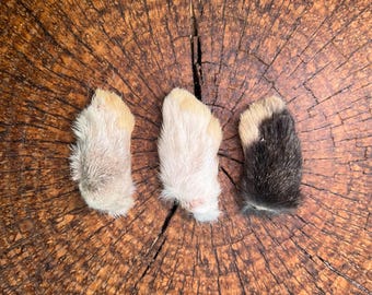 Freeze Dried Rabbit Front Feet: Natural Dog & Cat Treats, Single Ingredient
