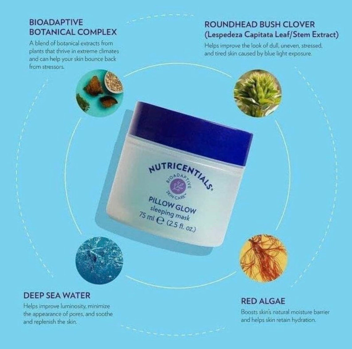 Nutricentials Pillow Glow Sleeping Mask Etsy