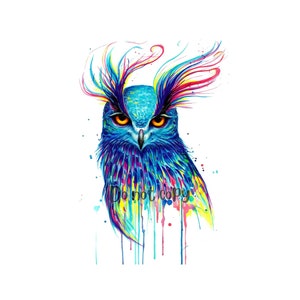 Colorful owl sublimation png digital download