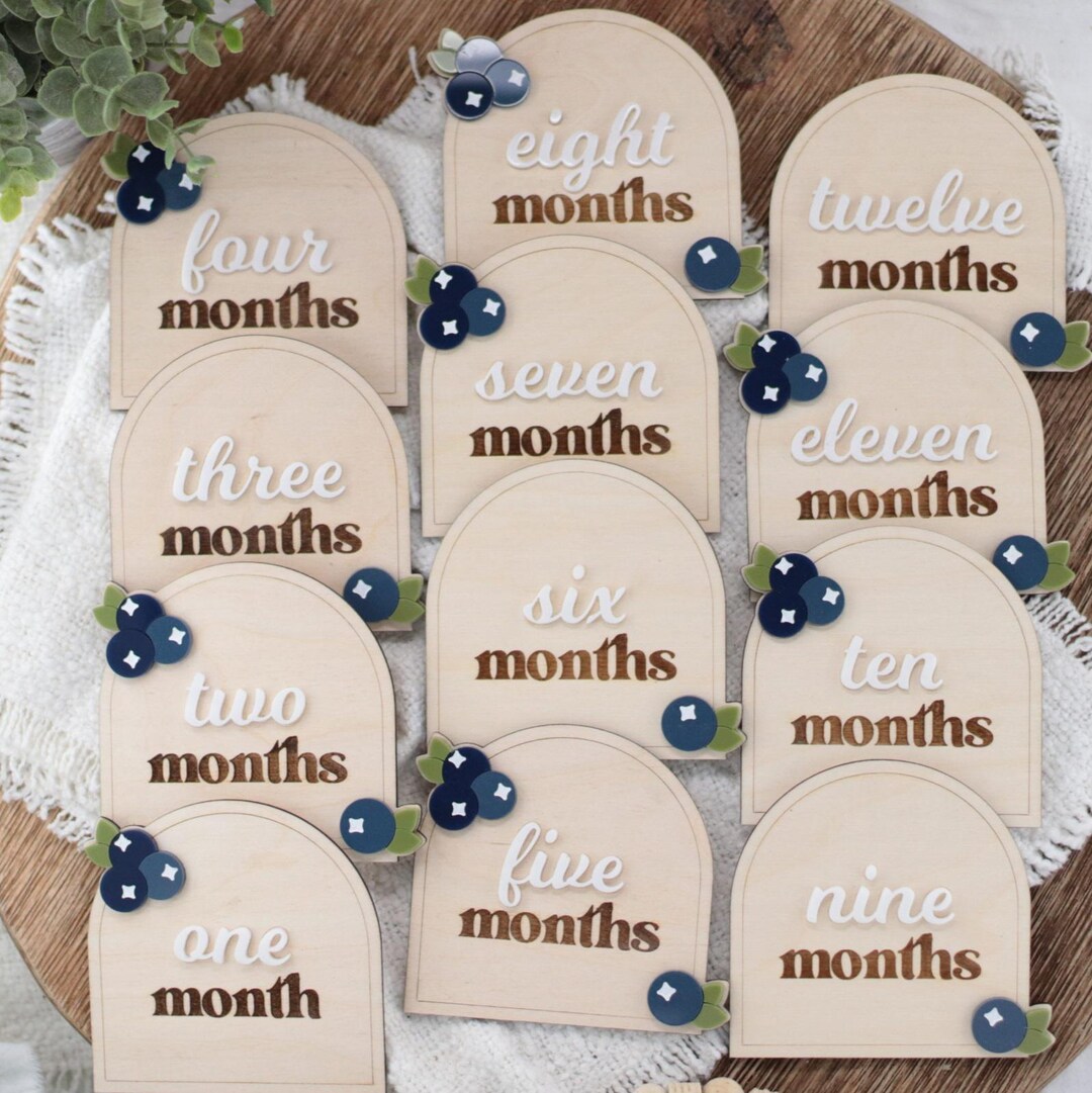 Blueberry Monthly Milestone Cards, Baby Growth, Baby Shower Gift, Boy ...