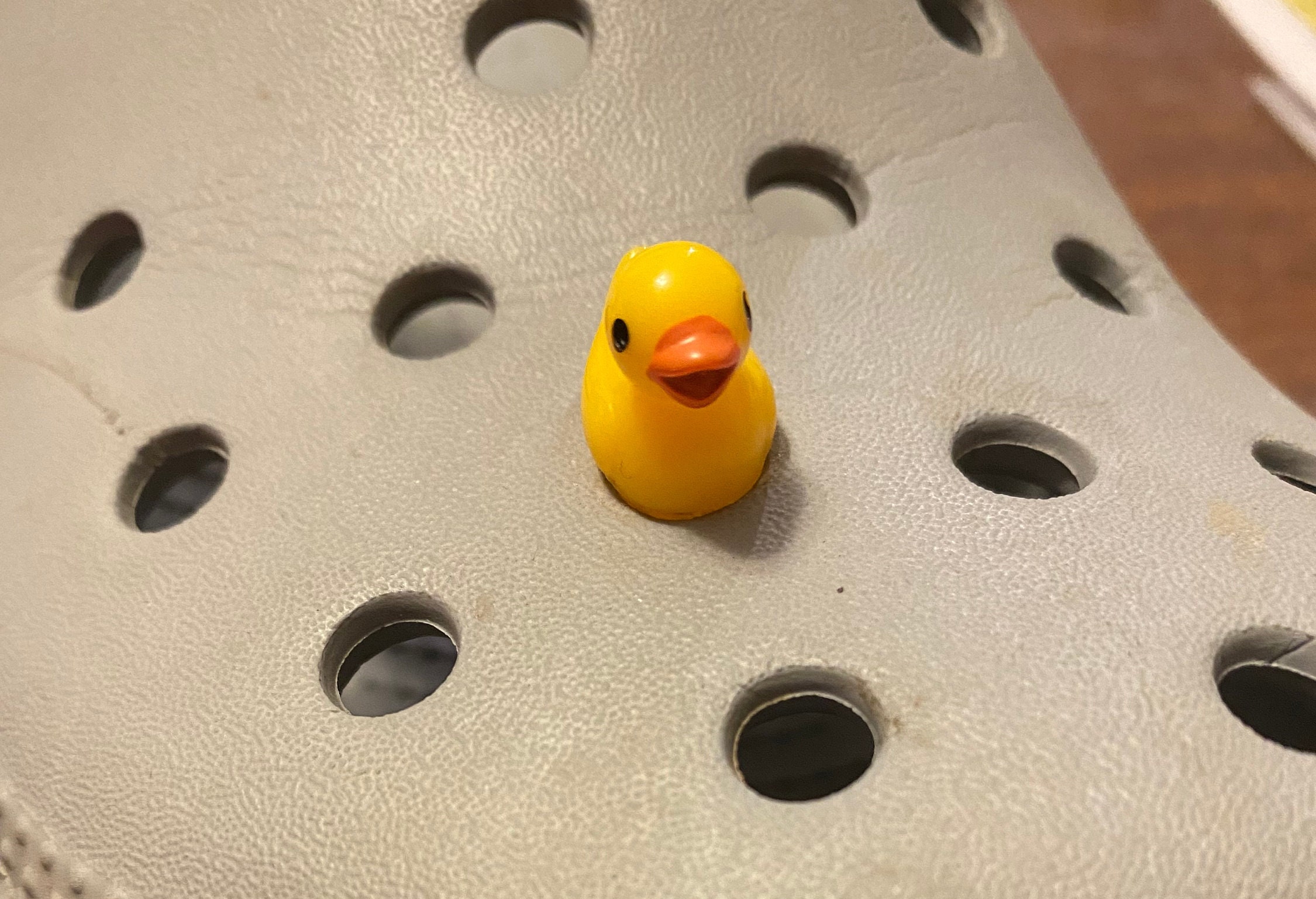 Duck Croc Charm - 3D