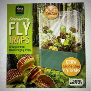 May include: A terrarium with Venus flytraps. The image features a green and clear terrarium with several flytraps inside. Text on the image reads "Fascinating FLY TRAPS" and "Grow your own Man-Eating Fly Traps!" and "Grow Meat-Eating FLY TRAPS".