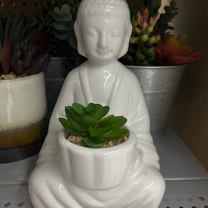 May include: A white ceramic Buddha statue holding a small white planter with a green succulent and small pebbles. The Buddha is in a seated position with eyes closed. Other plants are visible in the background.
