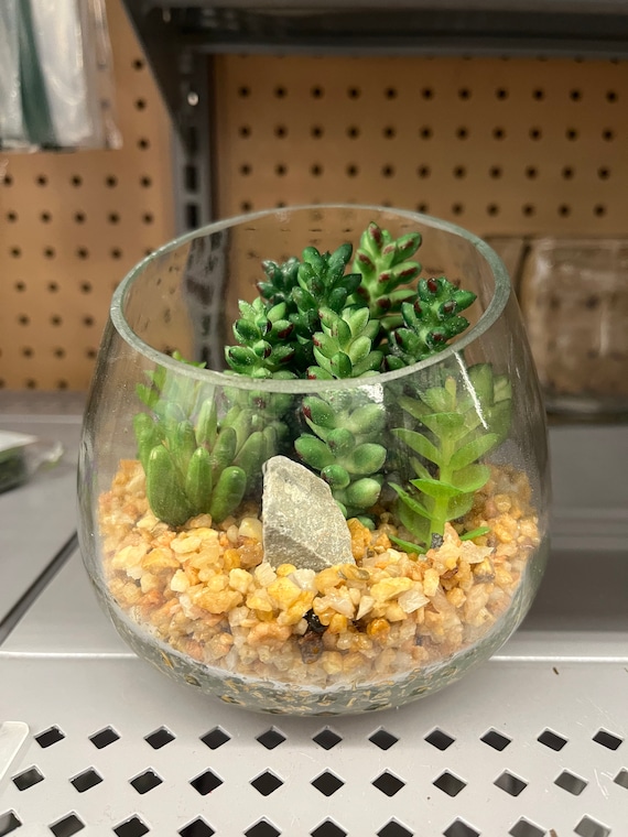 Glass Terrarium Bowl: Small Plastic Succulent Garden - Etsy