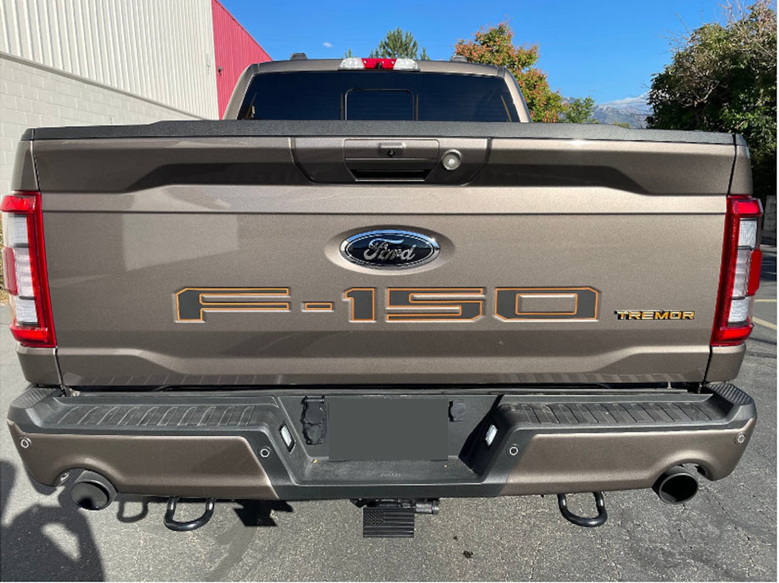 Premium 2 Color Decal for 20212022 Ford F150 Tremor Tailgate Etsy