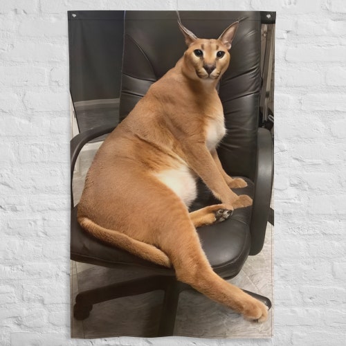 Big Floppa Cube Papercraft Template. DIY Lowpoly Toy. 3D Etsy Hong Kong