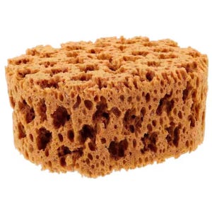Może przedstawiać: Gąbka w kolorze brązowym, o owalnym kształcie i porowatej strukturze. Gąbka jest wykonana z naturalnych materiałów i ma szorstką powierzchnię.