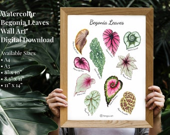 Plant Art Digital Download, Begonia Leafs Watercolor Painting, Botanical Wall Art, Home Decor, Wall Poster, Multiple Sizes, Instant Download