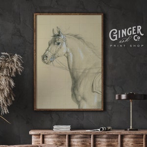Horse Study -- Vintage Fine Art Drawing -- Framed Digital Print Canvas Art Peel and Stick