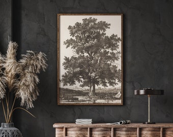 Oak Tree -- Vintage Fine Art Drawing -- Framed Digitally Printed Canvas Art Peel and Stick, Moody Wall Art