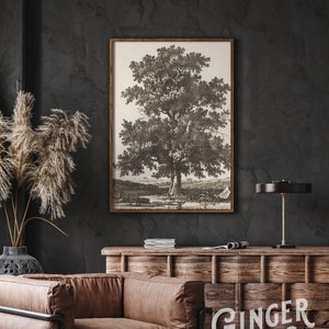 Vintage Oak Tree Sketch - Fine Art Drawing - Canvas Giclée Print, Peel and Stick Mural, Moody Wall Art