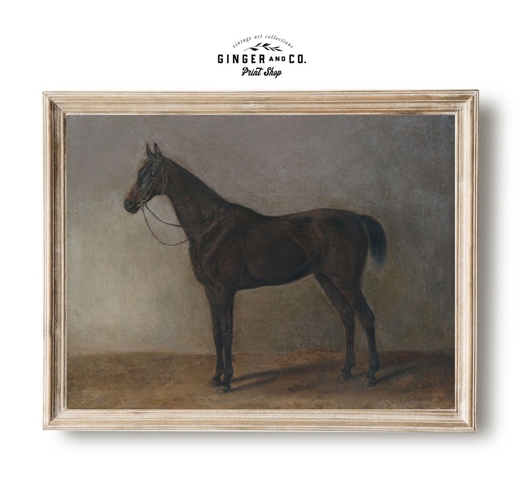 Vintage Horse Oil Painting - Fine Art Print, Equestrian Wall Art, Gicée ...