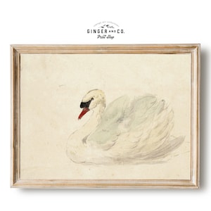 Vintage Swan Painting - Noble White Swan Nursery Wall Art, Gicée Canvas Print, Peel and Stick Print
