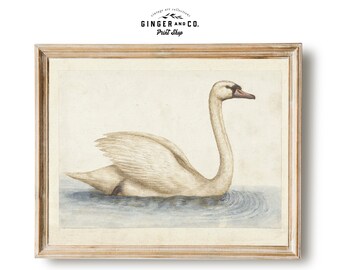 Vintage Swan Painting - Noble White Swan Nursery Wall Art, Gicée Canvas Print, Peel and Stick