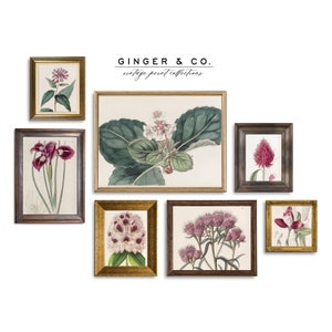 Vintage Botanical Flowers Wall Art Set 3 -- PRINTABLE DIGITAL DOWNLOAD --  French Country Cottage, Dining Room Wall Art