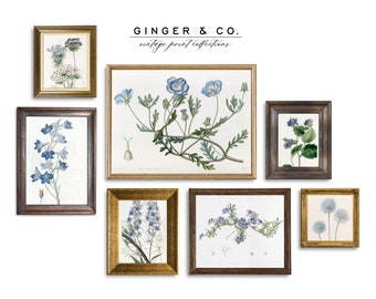 Blue Flowers Botanical Wall Art Set 2 -- PRINTABLE DIGITAL DOWNLOAD --  French Country Cottage, Dining Room Wall Art
