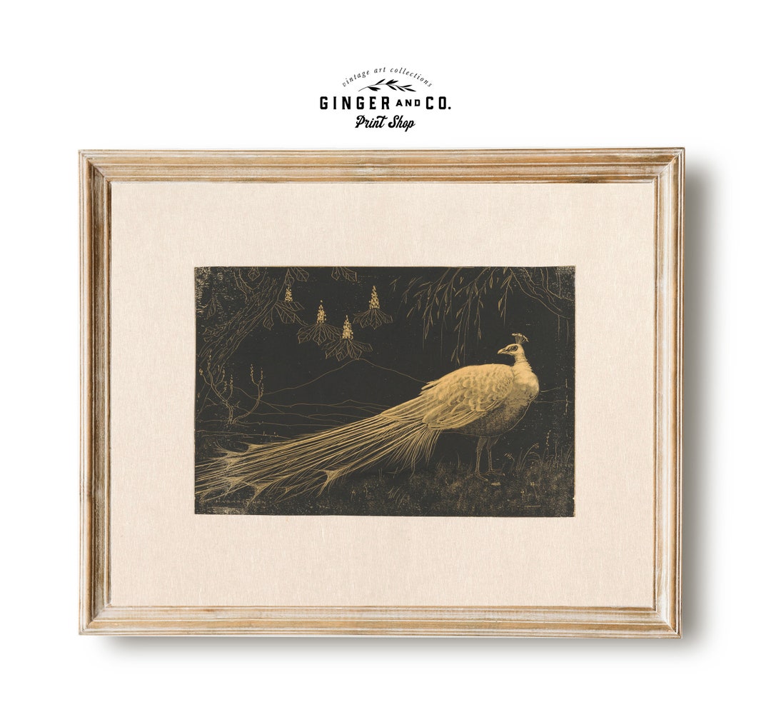 Vintage Peacock Drawing - PRINTABLE DIGITAL DOWNLOAD - European Wall ...