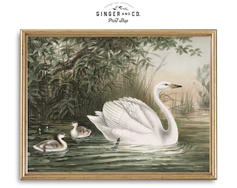 Vintage Swan Painting - PRINTABLE DIGITAL DOWNLOAD - European Wall Art, Vintage Fine Art Print, Nursery Wall Art