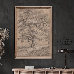 A Leafy Oak - Vintage Tree Sketch - Canvas GIclée Print, Peel and Stick Wall Mural, Moody Wall Art