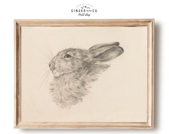 Vintage Rabbit Drawing - PRINTABLE DIGITAL DOWNLOAD - Easter Bunny Print, French Wall Art, Vintage Easter Print, Nursery Wall Art