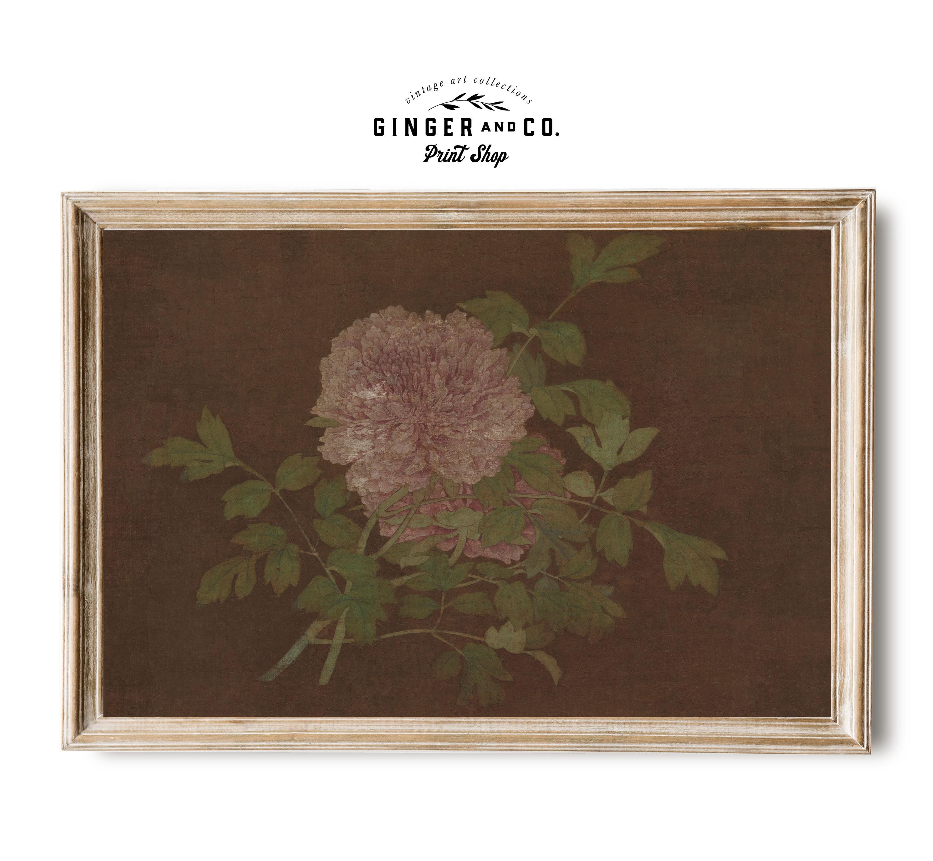 Pink Peony Botanical Print - PRINTABLE DIGITAL DOWNLOAD - Vintage ...
